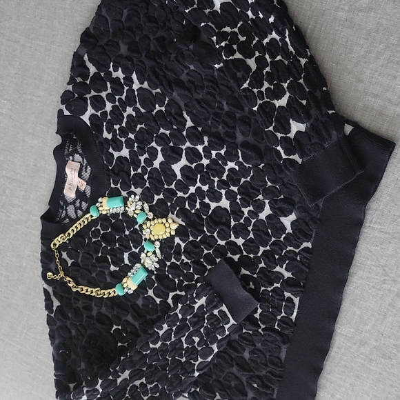 Philosophy Republic Cropped Sweater - Picture 2 of 13